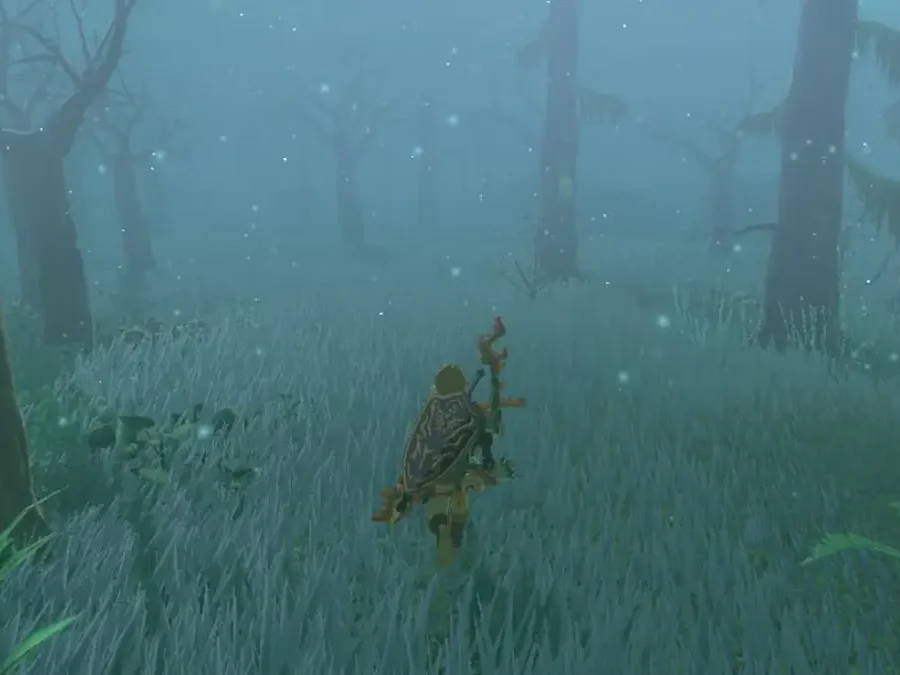 the fog of the lost woods
